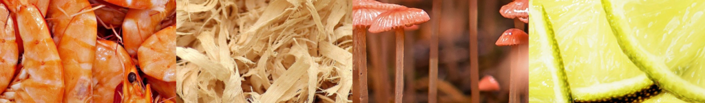 Regrowable resources for plastics production.